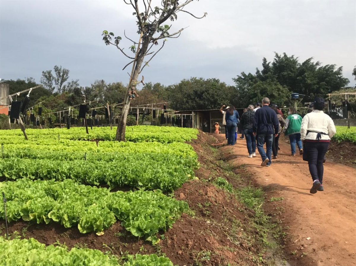 Capacitação para Horta Urbana é iniciada treinamento na Unidam