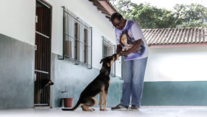 Foto de cachorra pegando alimento com a boca da mão esquerda de uma senhora 