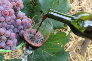 Foto de cacho de uva e garrafa de vinho tinto com cálice
