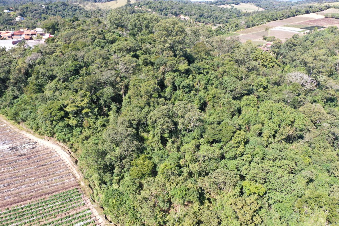 Exemplo De Programa De Pagamento De Serviços Ambientais Em Pernambuco