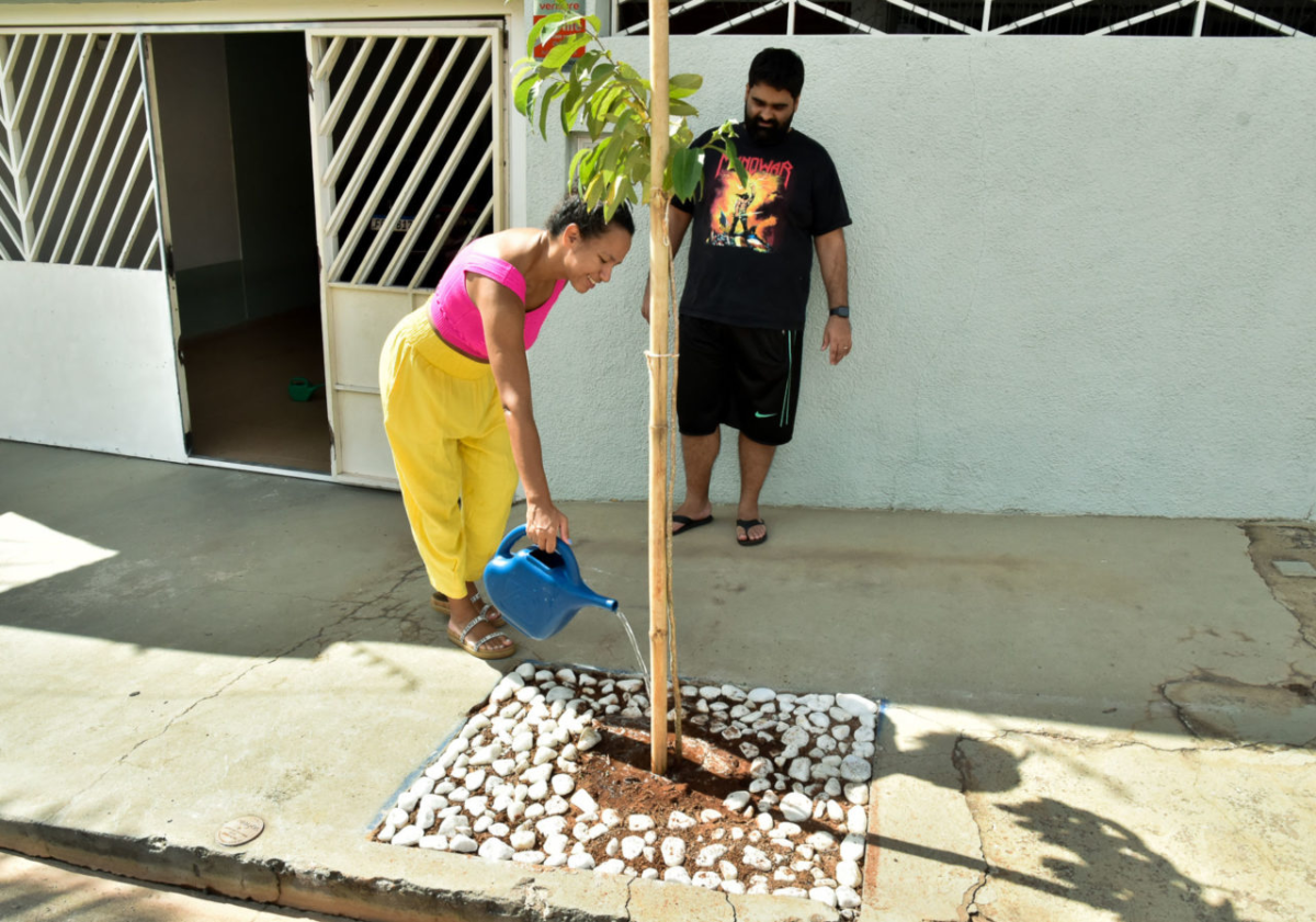 Tatiana Queiroz e Lino Melhado cuidam da árvore plantada em frente à casa deles